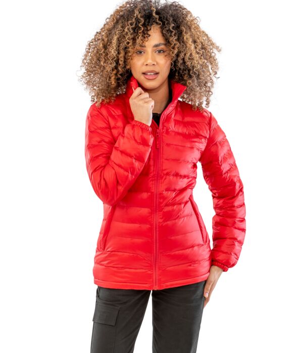Ladies' Ice Bird Padded Jacket Thumbnail