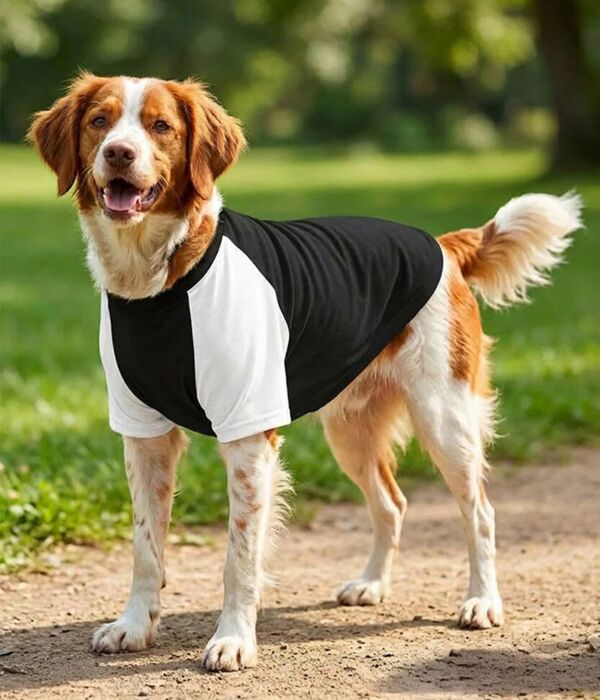 Dog’s raglan t-shirt Thumbnail